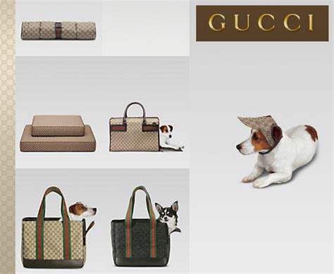 accessori cane gucci subito.it|Oggetti e Accessori di Lusso per Animali .